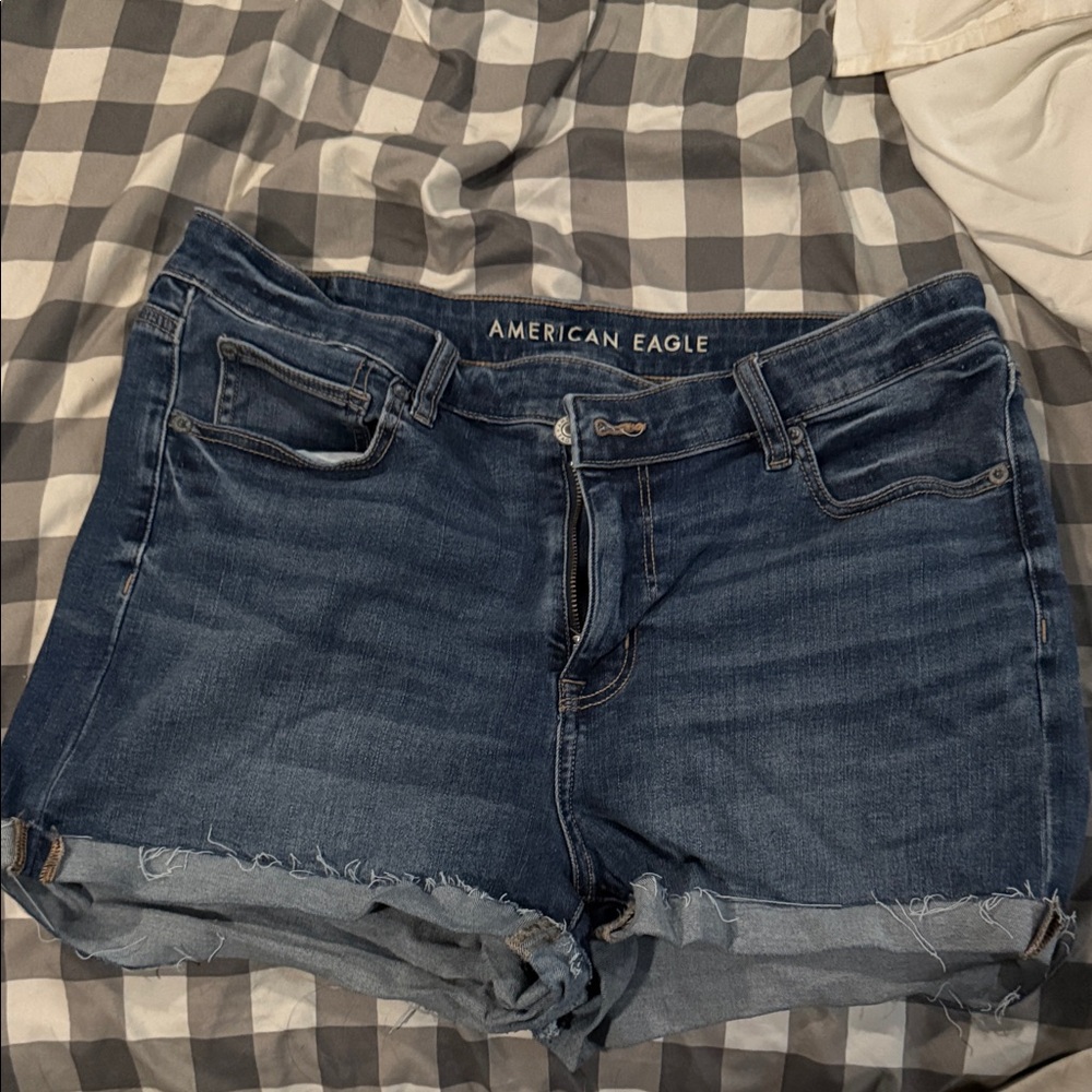 American Eagle Outfitters Blue Jean Shorts